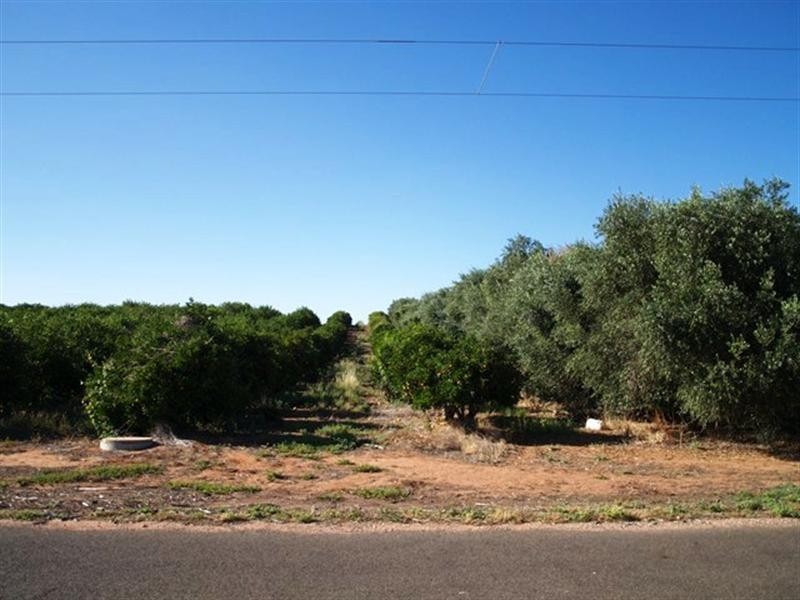 20 Crocker Road, Waikerie SA 5330