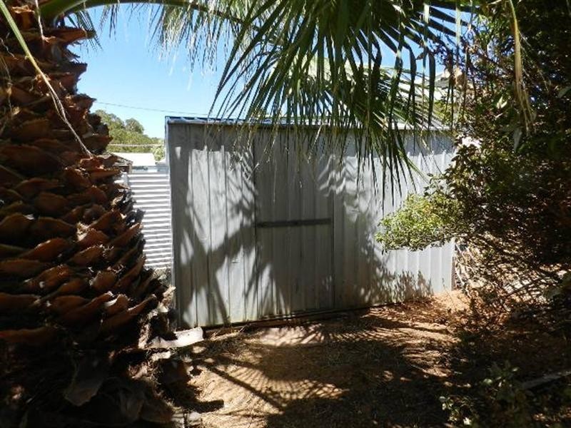 6 Laffer Street, Barmera SA 5345