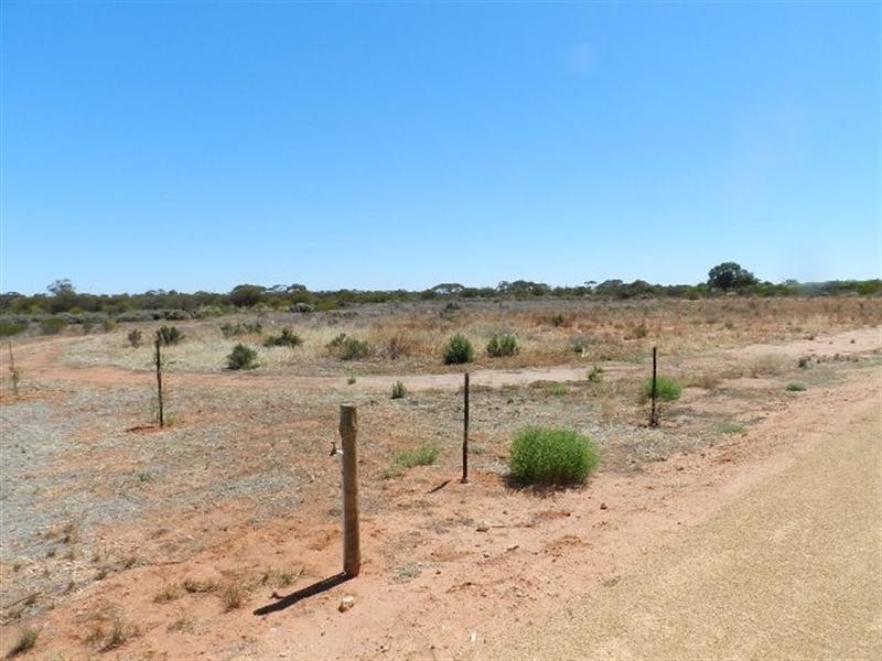 Section 756 Golledge Road, Monash SA 5342