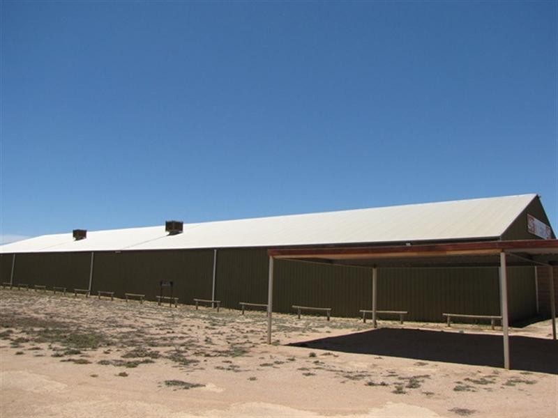 1647 Old Sturt Highway, Berri SA 5343