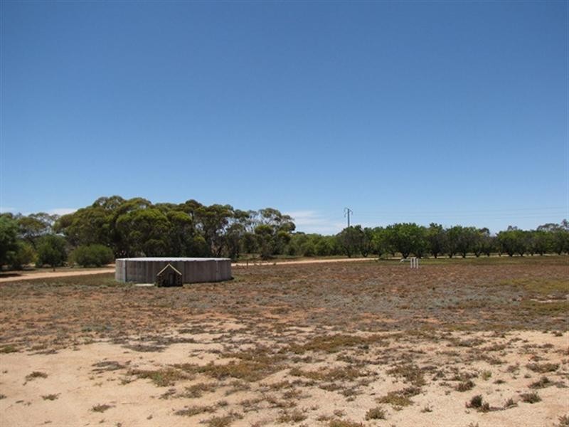 1647 Old Sturt Highway, Berri SA 5343