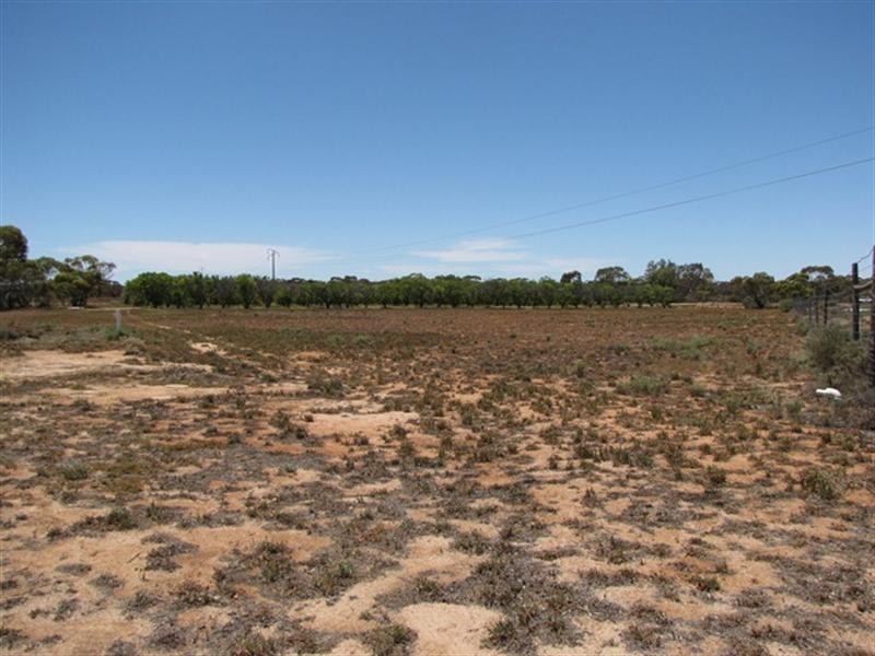 1647 Old Sturt Highway, Berri SA 5343