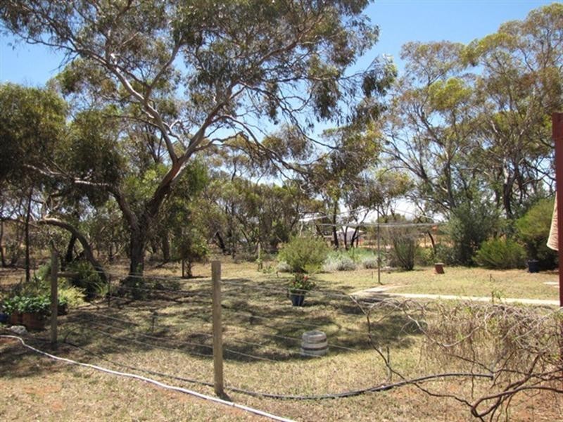 1647 Old Sturt Highway, Berri SA 5343