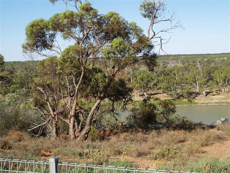 1459 Cadell Valley Road, Cadell SA 5321