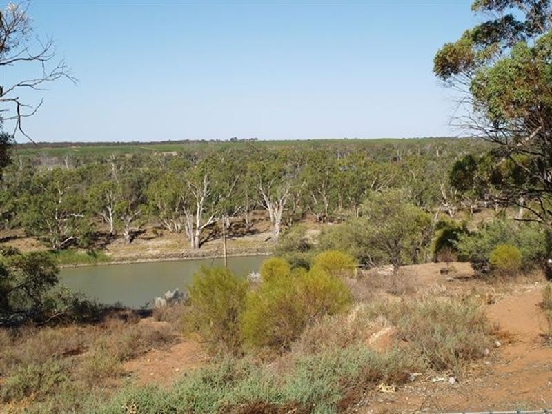 1459 Cadell Valley Road, Cadell SA 5321