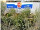 6 Egerton Street, Blanchetown SA 5357
