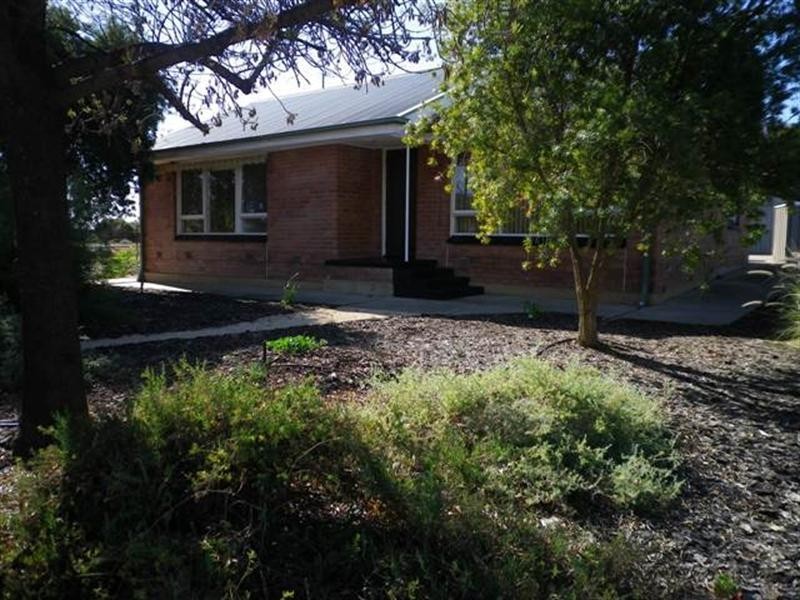 8 Tipper Street, Berri SA 5343