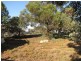 1680 Bookpurnong Road, Loxton SA 5333