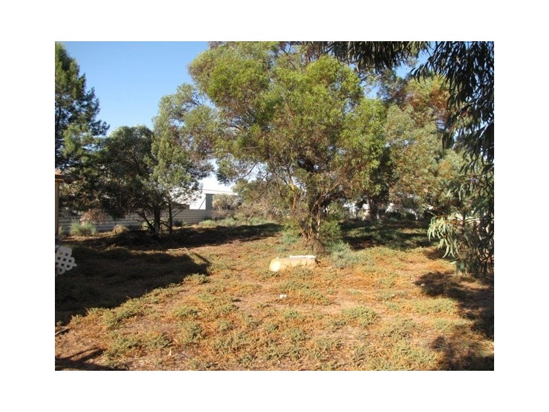 1680 Bookpurnong Road, Loxton SA 5333