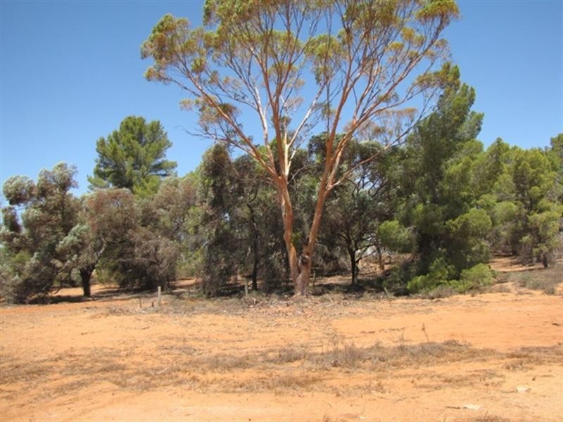 432 Anderson Road, Loxton North SA 5333