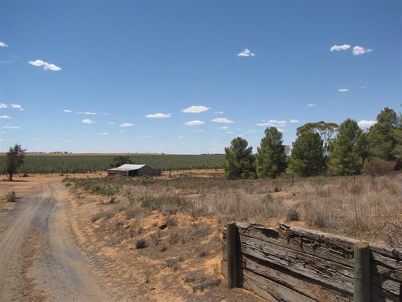 432 Anderson Road, Loxton North SA 5333