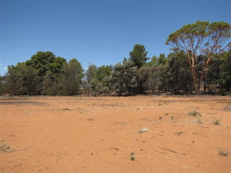 432 Anderson Road, Loxton North SA 5333