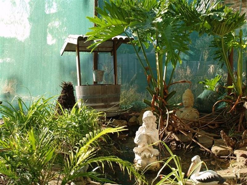 197 Thompson Road, Waikerie SA 5330