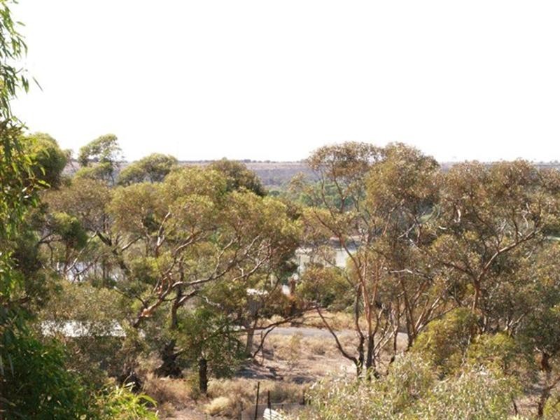 13 North Terrace, Blanchetown SA 5357