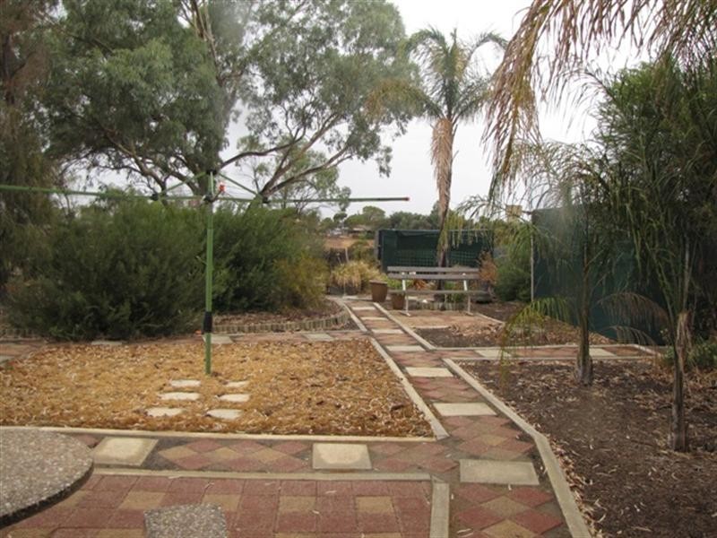 13 Federal Street, Morgan SA 5320