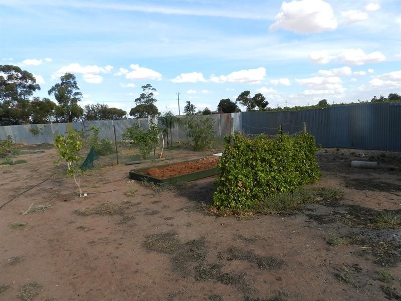 279 Balfour Ogilvy Avenue, Loxton North SA 5333