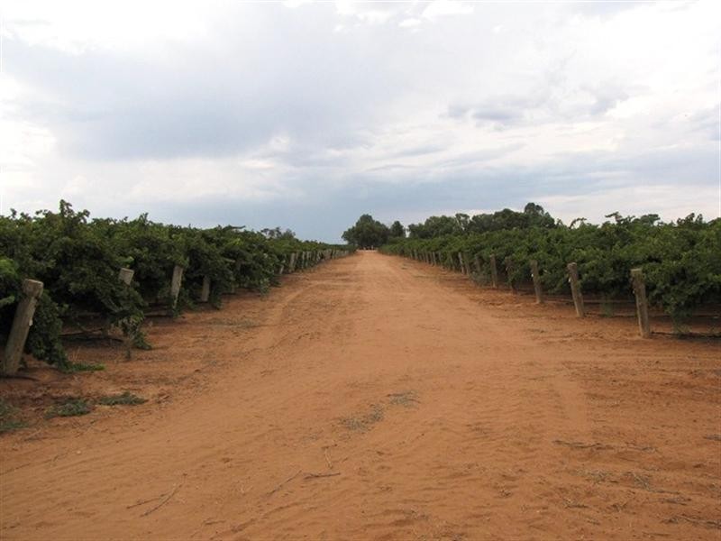 Lot 39 Comley Road, Loveday SA 5345