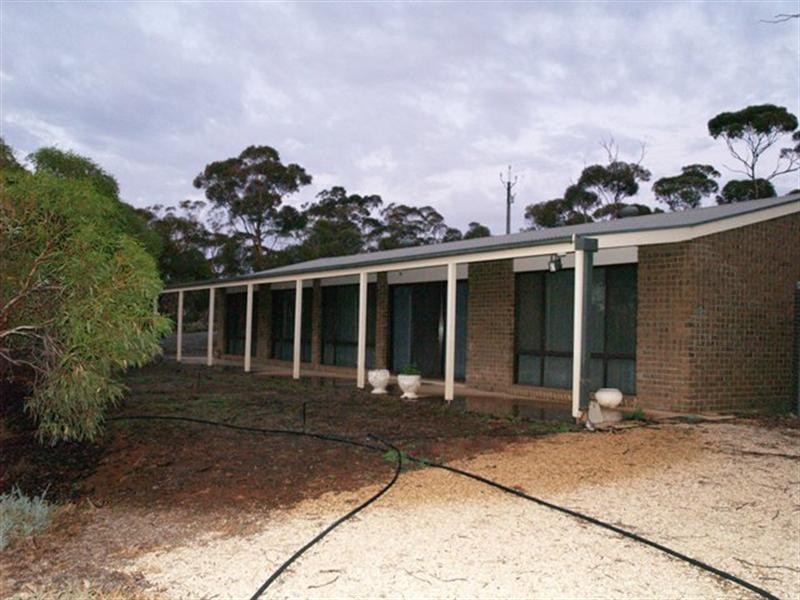 126 Riverboat Road, Cadell SA 5321