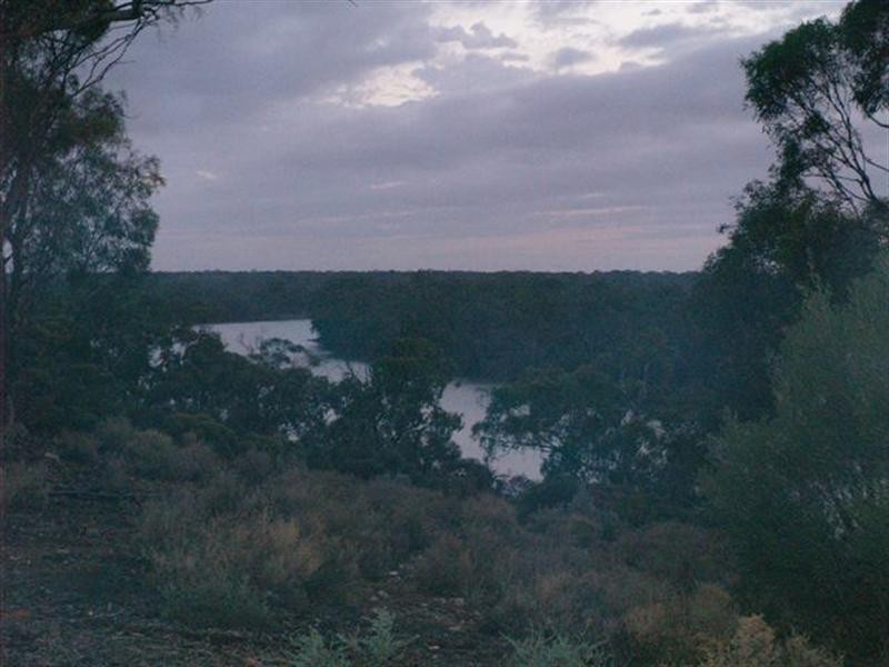 126 Riverboat Road, Cadell SA 5321