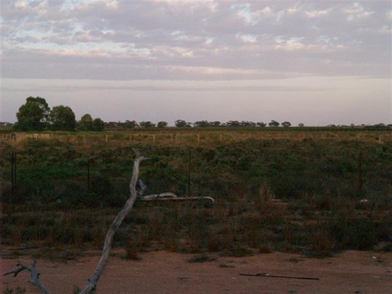 126 Riverboat Road, Cadell SA 5321