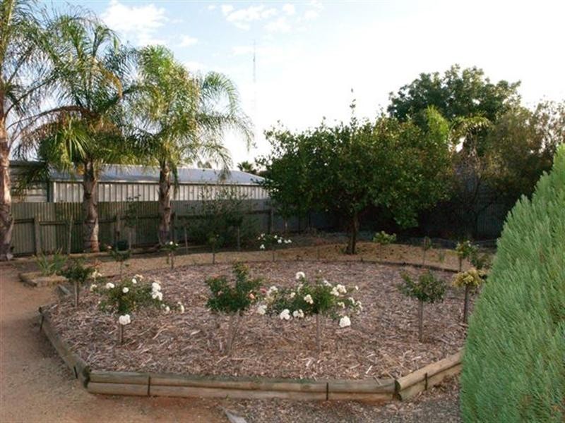 20 Kirby Street, Waikerie SA 5330