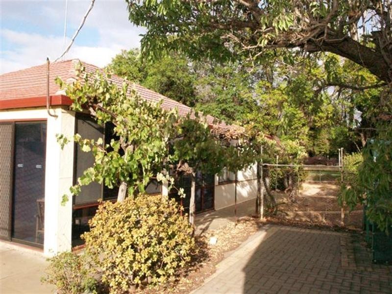 18 Jemison Street, Waikerie SA 5330