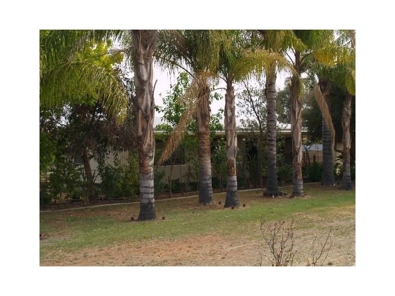 183 Playford Road SUNLANDS via, Waikerie SA 5330