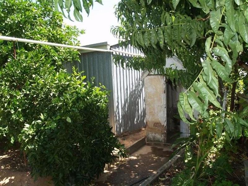 14 Thompson Street, Waikerie SA 5330