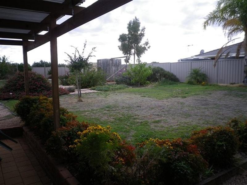 1005 Old Sturt Highway, Berri SA 5343