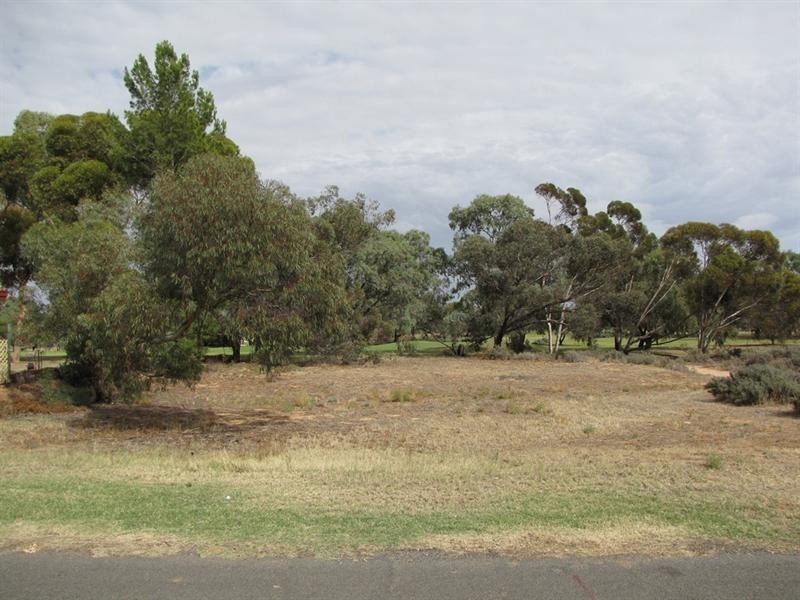3A Fairway Avenue, Barmera SA 5345