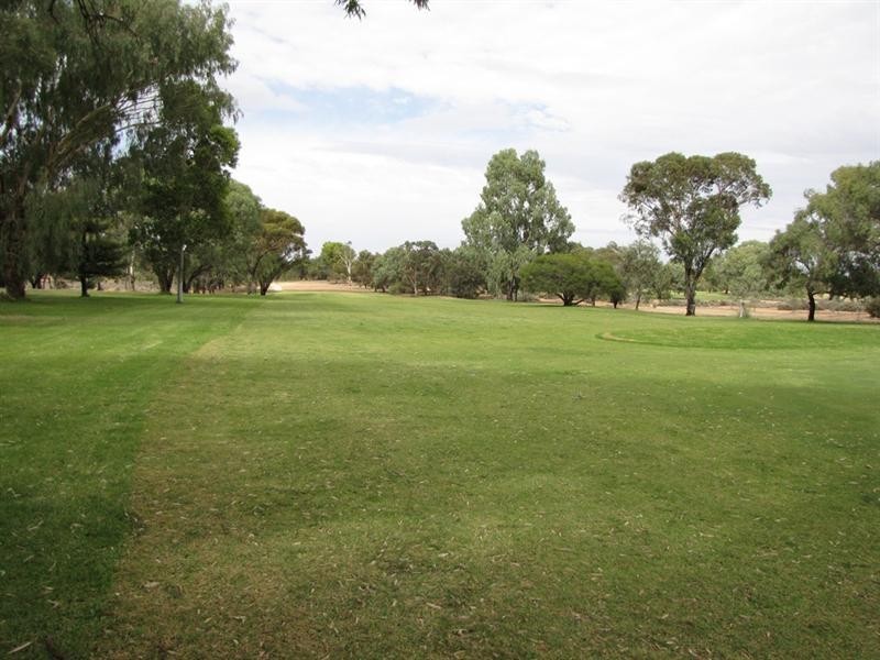 3A Fairway Avenue, Barmera SA 5345