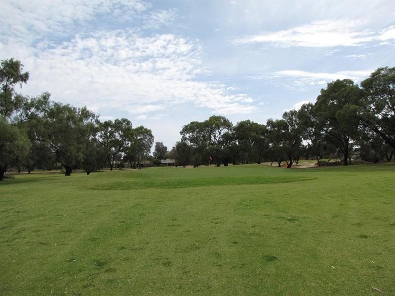 3A Fairway Avenue, Barmera SA 5345