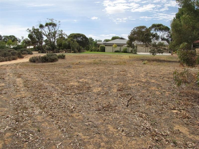3A Fairway Avenue, Barmera SA 5345