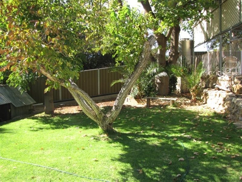 64 East Terrace, Loxton SA 5333