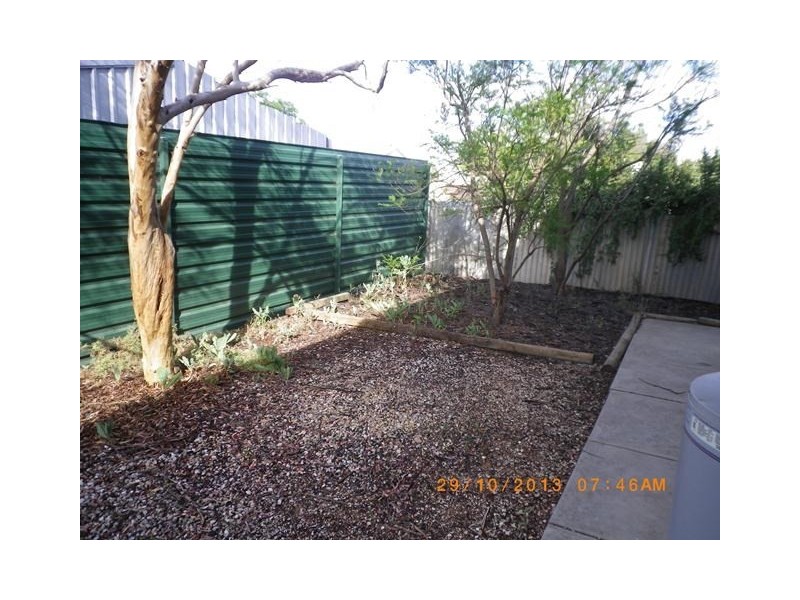 4/13 Zante, Berri SA 5343