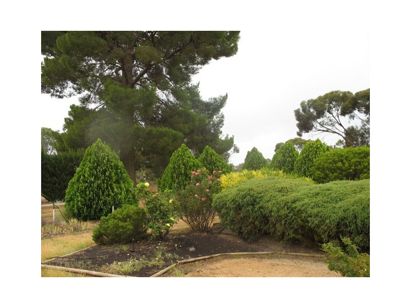 Lot 164 Moorook Road, Moorook SA 5332