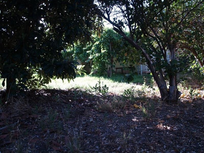 20 Crocker Road, Waikerie SA 5330