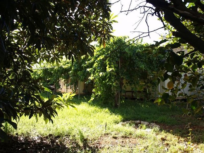 20 Crocker Road, Waikerie SA 5330