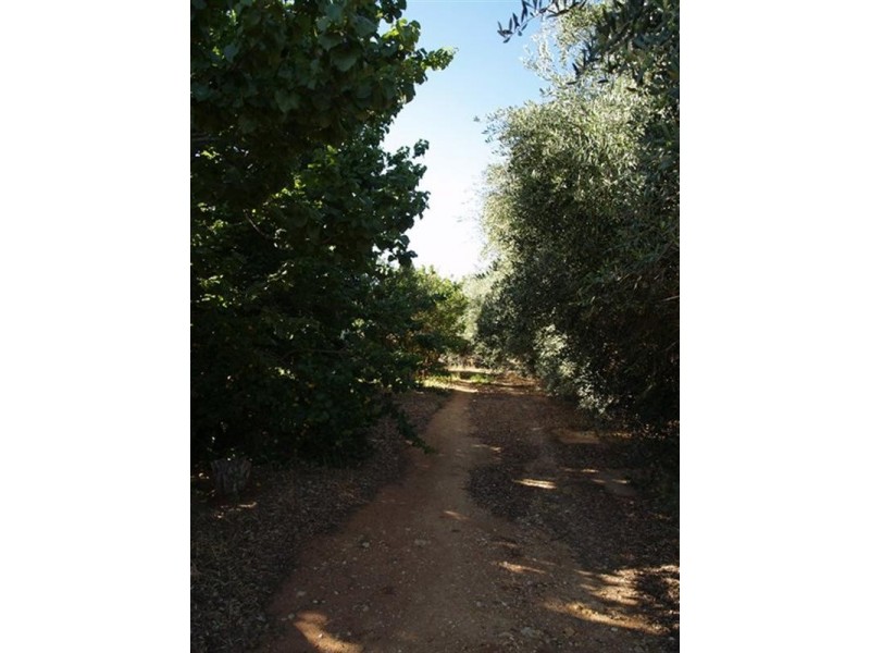 20 Crocker Road, Waikerie SA 5330