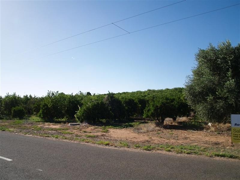 20 Crocker Road, Waikerie SA 5330