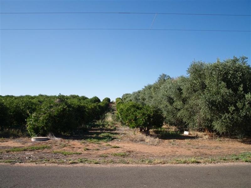 20 Crocker Road, Waikerie SA 5330