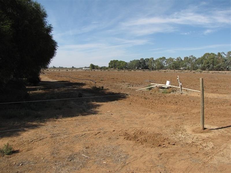 390 Joyce Street, Cobdogla SA 5346