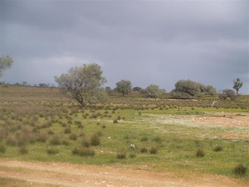 71 and 72 Murraylands Road, Blanchetown SA 5357