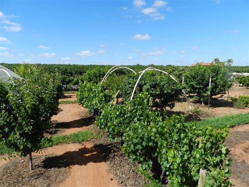 402 Distillery Road, Monash SA 5342