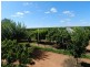 402 Distillery Road, Monash SA 5342