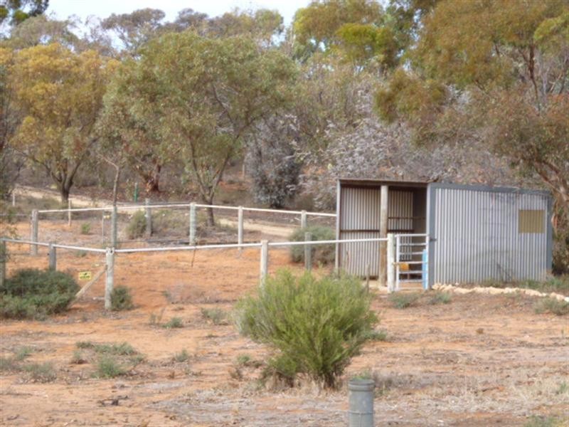 75 Goodes Road, Loxton SA 5333