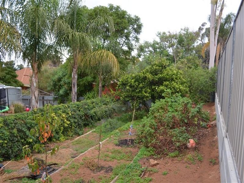 8 Derrick Street, Berri SA 5343