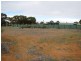 Lot 3 McBride Street, Barmera SA 5345