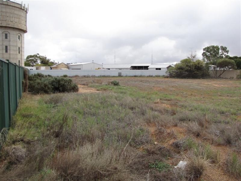 Lot 3 McBride Street, Barmera SA 5345