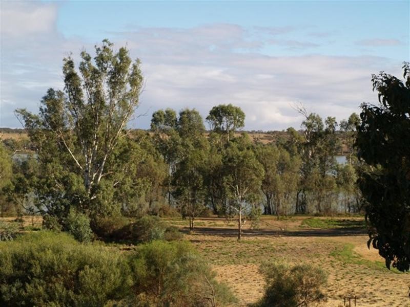 Lot 16 Ridgeway Private Estate, Morgan SA 5320